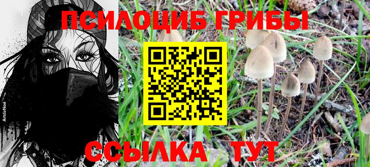 Псилоцибиновые грибы Magic Shrooms Владикавказ